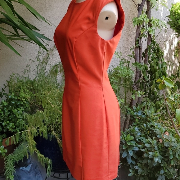 French Connection A-Line Dress with rounded neck - Picture 10 of 13